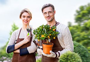Проект «под ключ» где можно заказать по низкой цене  в Улан-Уде