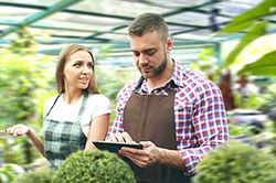 Дендроплан - верное планирование территории и решения этой задачи на уровне  в Улан-Уде