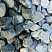 Kamenclub.ru: Щебень галтованный зеленый (змеевик) фр. 50-100 мм.  купить в Улан-Уде галтовка мраморная зеленый, салатовый мрамор 12 500 руб/т   фото КАМЕНЬ КЛУБ