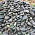 Kamenclub.ru: Темно-серый валунчик фр.100-300 мм.  купить в Улан-Уде крупный природный камень серый, темно-серый, светло-серый речная галька большого размера окатанная 4500 руб/т   фото КАМЕНЬ КЛУБ