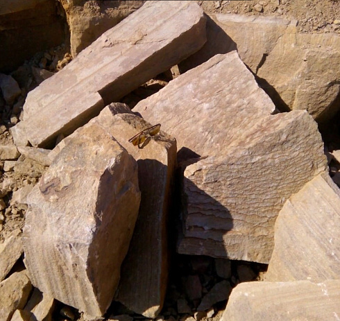 Kamenclub.ru: Песчаник пластушка желтый с рисунком (7-15 см)  купить в Улан-Уде плитняк - пластушка - бут желтый песчаник 10200 руб/м3   фото КАМЕНЬ КЛУБ