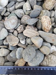 Kamenclub.ru: Галька речная окат (пестрая) фр. 20-40 мм. купить  в Улан-Уде галька речная пестрая, серая, серые оттенки галька речная окатанная округлая 5000 руб/т   фото КАМЕНЬ КЛУБ