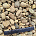 Kamenclub.ru: Галька речная окат рыжая фр. 20-40 мм. купить  в Улан-Уде галька речная окатанная рыжая желтая серая округлая речная галька 5000 руб/т   фото КАМЕНЬ КЛУБ