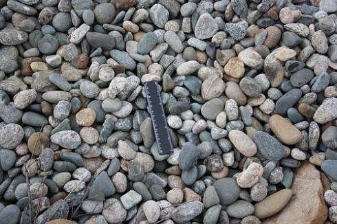 Kamenclub.ru: Галька речная окат (пестрая) фр. 20-40 мм. купить  в Улан-Уде галька речная пестрая, серая, серые оттенки галька речная окатанная округлая 5000 руб/т   фото КАМЕНЬ КЛУБ