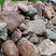 Kamenclub.ru: Конгломераты фр. 300-1000 мм.  купить в Улан-Уде кварц мрамор диабаз коричневый, серый зеленоватый речной валун крупный 6500 руб/т   фото КАМЕНЬ КЛУБ