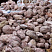 Kamenclub.ru: Розовый валунчик фр.100-300 мм.  купить в Улан-Уде крупный природный камень розовый, серый молочный красный речной галечник природный 7850 руб/т   фото КАМЕНЬ КЛУБ