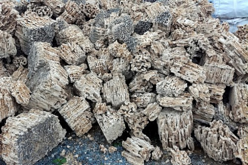 Kamenclub.ru: Крымский природный меотис фр. 100-500 мм.  купить в Улан-Уде меотис бежевый рыжий молочный желтый ракушечник 4 500 руб/т   фото КАМЕНЬ КЛУБ