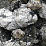 Kamenclub.ru: Черный гранит - кварцит фр. 100-500 мм.  купить в Улан-Уде мрамор гранит черный с белыми прожилками, серый, белый валун скальный колотый 7000 руб/т   фото КАМЕНЬ КЛУБ