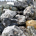 Kamenclub.ru: Черный гранит - кварцит фр. 500-1000 мм.  купить в Улан-Уде гранит кварцит черный серый белый скальный колотый валун 9750 руб/т   фото КАМЕНЬ КЛУБ