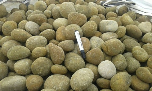 Kamenclub.ru: Песчаник ядра, фр. 100-300 мм  купить в Улан-Уде песчаник бежевый серый рыжий речная галька 5 000 руб/т   фото КАМЕНЬ КЛУБ