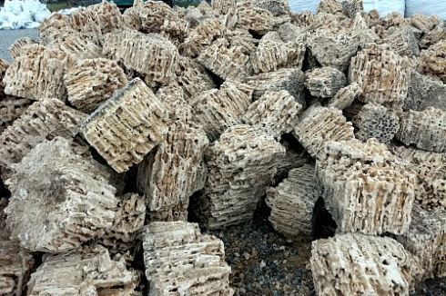 Kamenclub.ru: Крымский природный меотис фр. 100-500 мм.  купить в Улан-Уде меотис бежевый рыжий молочный желтый ракушечник 4 500 руб/т   фото КАМЕНЬ КЛУБ