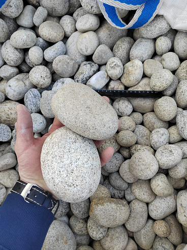 Kamenclub.ru: Галька речная окат (серо-белая) фр. 70-120 мм купить  в Улан-Уде галька галечник бело-серая, серо-белая, серая, белая речная природная галька  8000 руб/т   фото КАМЕНЬ КЛУБ