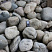 Kamenclub.ru: Темно-серый валунчик фр.100-300 мм.  купить в Улан-Уде крупный природный камень серый, темно-серый, светло-серый речная галька большого размера окатанная 4500 руб/т   фото КАМЕНЬ КЛУБ