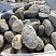 Kamenclub.ru: Речной валун (Ассорти) фр.100-300 мм.  купить в Улан-Уде галечник серый, темно-серый, светло-серый речная галька крупных размеров 4200 руб/т   фото КАМЕНЬ КЛУБ