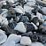 Kamenclub.ru: Мраморная крошка (щебень галтованный микс:: белый-черный) фр.20-40 мм  купить в Улан-Уде мрамор белый, черный мраморный галтованный щебень 15500 руб/т   фото КАМЕНЬ КЛУБ