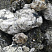 Kamenclub.ru: Черный гранит - кварцит фр. 100-500 мм.  купить в Улан-Уде мрамор гранит черный с белыми прожилками, серый, белый валун скальный колотый 7000 руб/т   фото КАМЕНЬ КЛУБ
