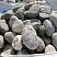 Kamenclub.ru: Речной валун (Ассорти) фр.100-300 мм.  купить в Улан-Уде галечник серый, темно-серый, светло-серый речная галька крупных размеров 4200 руб/т   фото КАМЕНЬ КЛУБ