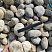Kamenclub.ru: Галька речная окат (серо-белая) фр. 70-120 мм купить  в Улан-Уде галька галечник бело-серая, серо-белая, серая, белая речная природная галька  8000 руб/т   фото КАМЕНЬ КЛУБ