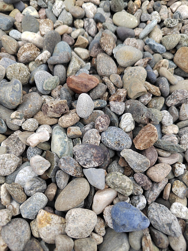 Kamenclub.ru: Галька речная окат (серая) фр.10-20 мм купить  в Улан-Уде галька речная серая, серый, темно-серый, светло-серый, коричневый ландшафтная декоративная речная окатанная округлая галька 5000 руб/т   фото КАМЕНЬ КЛУБ