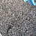 Kamenclub.ru: Галька речная окат (серая) фр.3-5 мм купить  в Улан-Уде галька речная серая бежевый темно-серый окатанный речной камень округлый 9500 руб/т   фото КАМЕНЬ КЛУБ