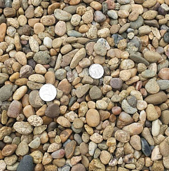Kamenclub.ru: Галька окат (серо-желтая) фр.10-20 мм. купить  в Улан-Уде галька серо-желтая, рыжая, серый речная окатанная округлая галька 5000 руб/т   фото КАМЕНЬ КЛУБ