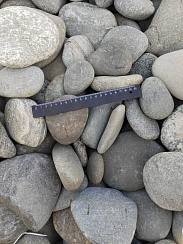 Kamenclub.ru: Галька речная плоская (ассорти) фр. 70-150 мм. купить в Улан-Уде галька галечник серый белый темно-серый синий светло-серый плоская природная галька  9000 руб/т   фото КАМЕНЬ КЛУБ