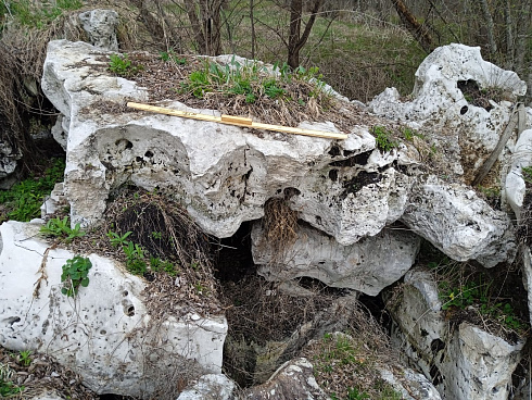 Kamenclub.ru: Выветренный известняк со мхом фр. 100-500 мм.  купить в Улан-Уде известняк серый белый зеленый валун известняковый крупный 10000 руб/т   фото КАМЕНЬ КЛУБ