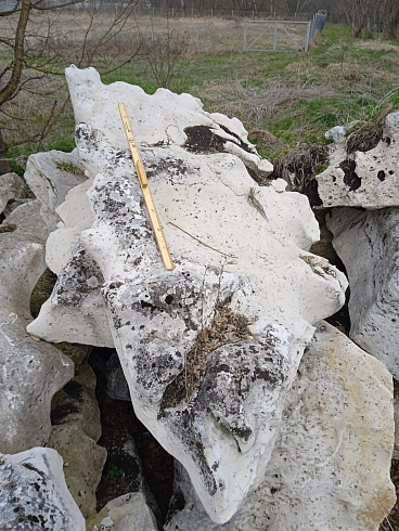 Kamenclub.ru: Выветренный известняк со мхом фр. 100-500 мм.  купить в Улан-Уде известняк серый белый зеленый валун известняковый крупный 10000 руб/т   фото КАМЕНЬ КЛУБ