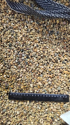 Kamenclub.ru: Галька окат (серо-желтая) фр.5-10 мм. купить  в Улан-Уде галька речная рыжий, желтый, рыжий, серо-желтый речная окатанная галька декоративная 5000 руб/т   фото КАМЕНЬ КЛУБ