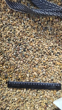 Kamenclub.ru: Галька окат (серо-желтая) фр.5-10 мм. купить  в Улан-Уде галька речная рыжий, желтый, рыжий, серо-желтый речная окатанная галька декоративная 5000 руб/т   фото КАМЕНЬ КЛУБ