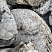 Kamenclub.ru: Кварцевый валунчик фр.100-300 мм.  купить в Улан-Уде кварц белый, бежевый молочный рыжий крупный природный камень галечник 7850 руб/т   фото КАМЕНЬ КЛУБ