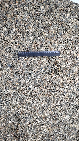 Kamenclub.ru: Галька речная окат (серая) фр.5-10 мм купить  в Улан-Уде галька речная серая, серый, темно-серый, светло-серый, коричневый речная окатанная галька декоративная ландшатфная 5000 руб/т   фото КАМЕНЬ КЛУБ