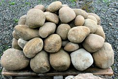 Kamenclub.ru: Песчаник ядра, фр. 100-300 мм  купить в Улан-Уде песчаник бежевый серый рыжий речная галька 5 000 руб/т   фото КАМЕНЬ КЛУБ