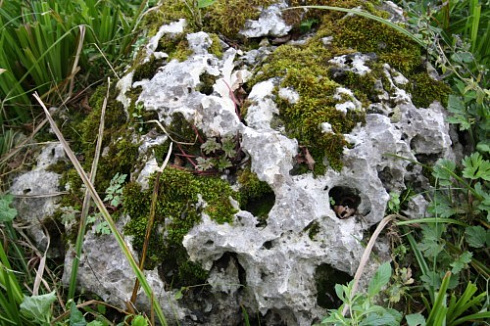 Kamenclub.ru: Выветренный известняк со мхом фр. 100-500 мм.  купить в Улан-Уде известняк серый белый зеленый валун известняковый крупный 10000 руб/т   фото КАМЕНЬ КЛУБ