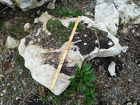 Kamenclub.ru: Выветренный известняк (степной) фр. 500-1500 мм.  купить в Улан-Уде    10000 руб/т   фото КАМЕНЬ КЛУБ