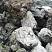 Kamenclub.ru: Черный гранит - кварцит фр. 100-500 мм.  купить в Улан-Уде мрамор гранит черный с белыми прожилками, серый, белый валун скальный колотый 7000 руб/т   фото КАМЕНЬ КЛУБ