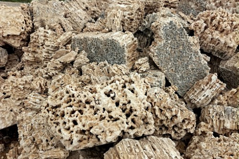 Kamenclub.ru: Крымский природный меотис фр. 100-500 мм.  купить в Улан-Уде меотис бежевый рыжий молочный желтый ракушечник 4 500 руб/т   фото КАМЕНЬ КЛУБ