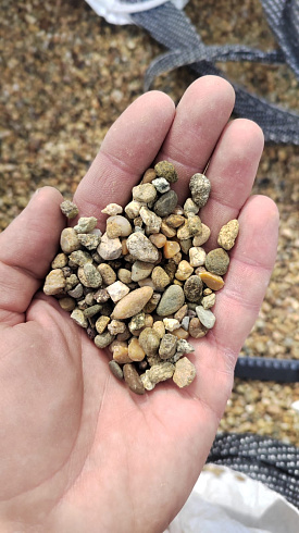 Kamenclub.ru: Галька окат (серо-желтая) фр.5-10 мм. купить  в Улан-Уде галька речная рыжий, желтый, рыжий, серо-желтый речная окатанная галька декоративная 5000 руб/т   фото КАМЕНЬ КЛУБ