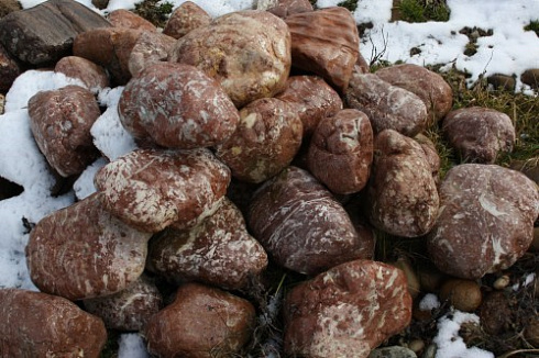 Kamenclub.ru: Розовый валунчик фр.100-300 мм.  купить в Улан-Уде крупный природный камень розовый, серый молочный красный речной галечник природный 7850 руб/т   фото КАМЕНЬ КЛУБ